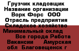 Грузчик-кладовщик › Название организации ­ Ворк Форс, ООО › Отрасль предприятия ­ Складское хозяйство › Минимальный оклад ­ 27 000 - Все города Работа » Вакансии   . Амурская обл.,Благовещенск г.